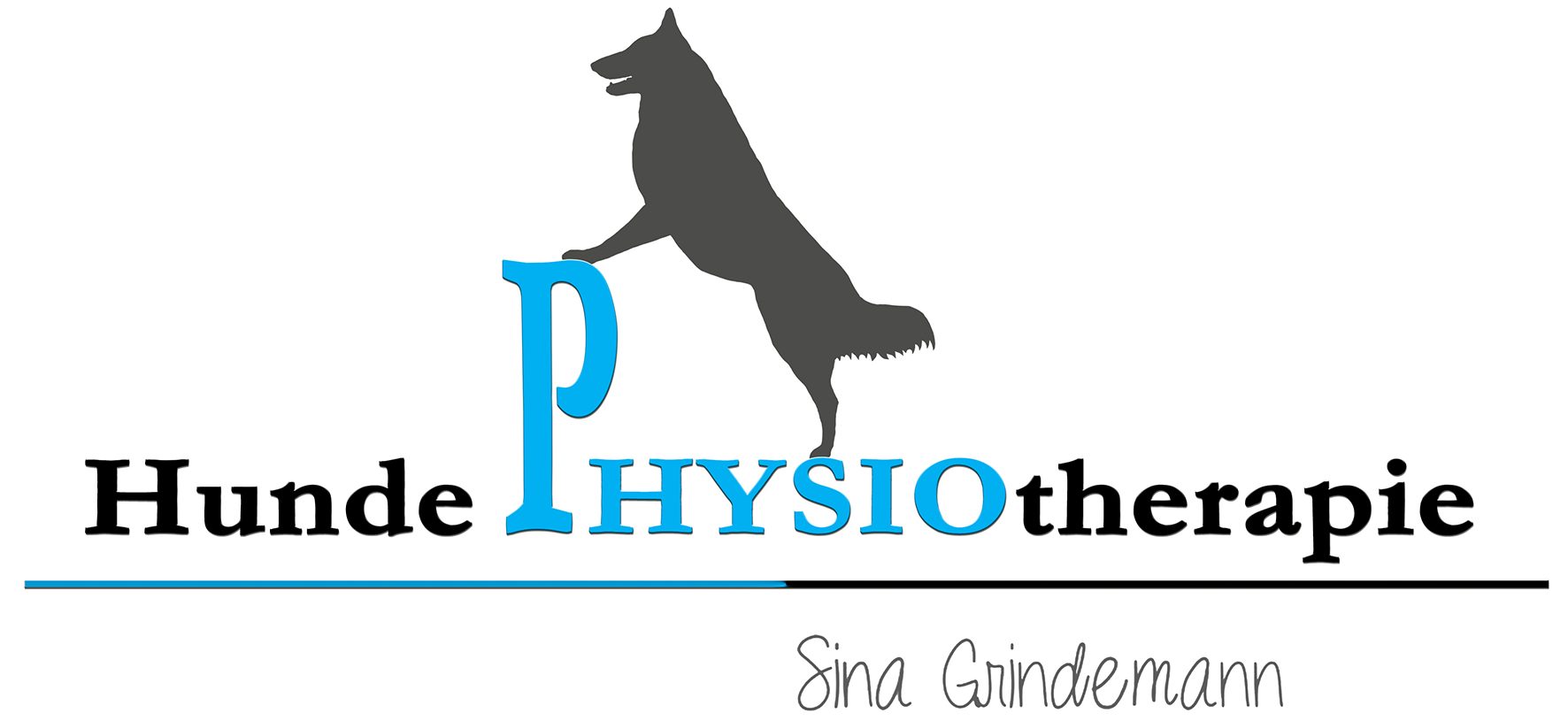 Hundephysiotherapie – Sina Grindemann